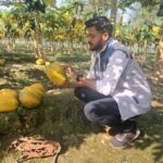 WhatsApp Image 2025-12-16 at 11.29.40 AM (1)