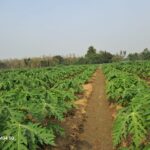 WhatsApp Image 2025-12-16 at 11.29.43 AM (1)