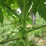 WhatsApp Image 2025-12-16 at 11.29.44 AM (1)